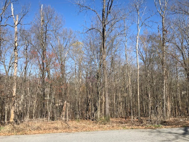 Do you want to be a part of a wonderful growing community? This easy sloping lot is located in Dornoch subdivision in Bella Vista, AR and just a short walk down the street is Loch Lomond lake. For your lake enjoyment Granton park and boat launch is less than 1.5 miles and about 2 miles to Lakepoint restaurant and marina. I-49 is a hop, skip, and a jump to get to and you are on your way to Bentonville and Rogers or you can head north to Missouri. All the enjoyments NW Arkansas can bring you at your fingertips! Don’t let it get away!