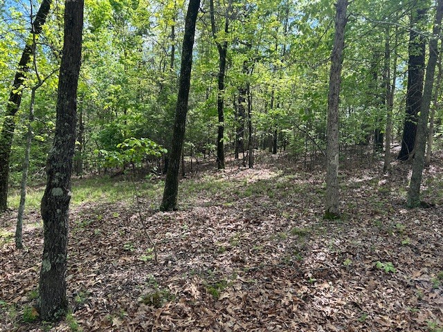 1.36 Acres with Well, Septic, Electric, and phone close to Buffalo River, White River, and National Parks. This serene location awaits you for a Dream House or just a weekend Cabin.