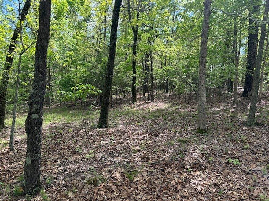 1.36 Acres with Well, Septic, Electric, and phone close to Buffalo River, White River, and National Parks.  This serene location awaits you for a Dream House or just a weekend Cabin.