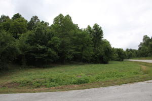 Great building site with easy access and view. Located at the North edge of Harrison only few minutes to Walmart, schools, church and community events. Less not forget the short drive to Branson shows Bull Shoals and Table Rock Lakes so what are you waiting for? We have the building site and you have the house plan call today!