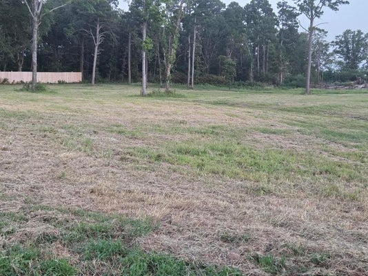 ADDRESS PRIVATE, DOVER, AR 72837 - Image 596b6c057c8eba9e45061a4ec9f82c86/4004792205