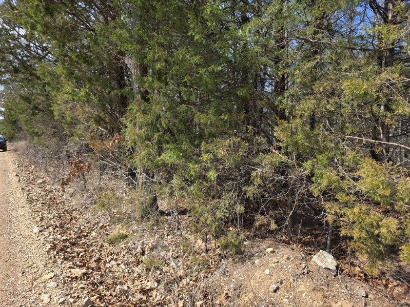 Scott Mountain Unit Ii - Land