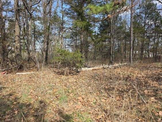 Scott Mountain Unit Ii - Land