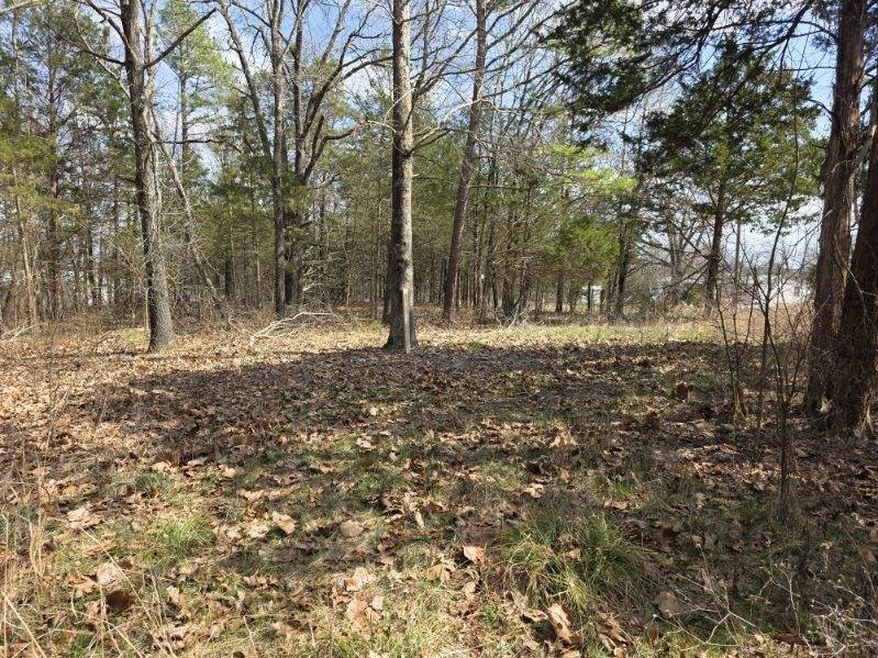 Scott Mountain Unit Ii - Land