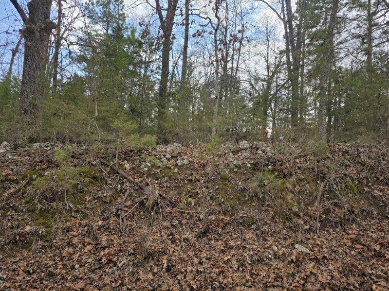 Scott Mountain Unit Ii - Land