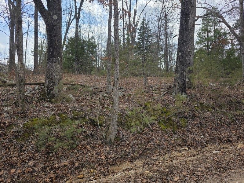 Scott Mountain Unit Ii - Land