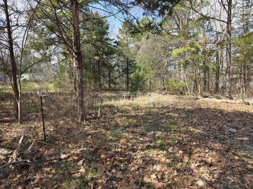 Newly surveyed 2.66± acre wooded lot located on a quiet, well-maintained road just off Hwy 14 in Omaha. This beautiful property offers the perfect opportunity to choose your ideal building site—clear only what you need and keep the surrounding trees for privacy. With NO restrictions, electricity available at the road, and plenty of space to create your vision, the possibilities are endless. A well will need to be drilled.