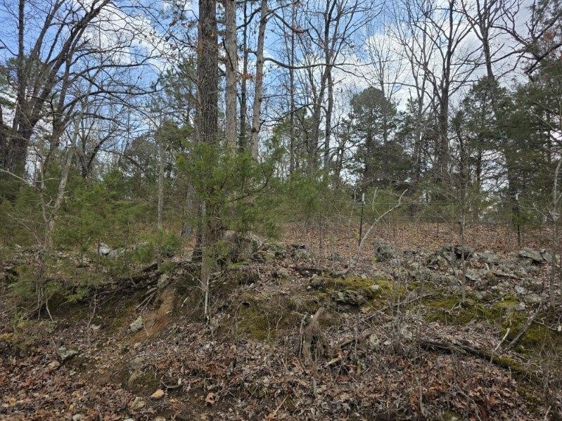 Scott Mountain Unit Ii - Land