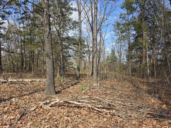 Scott Mountain Unit Ii - Land