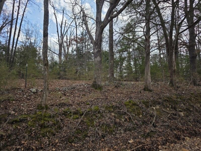 Scott Mountain Unit Ii - Land