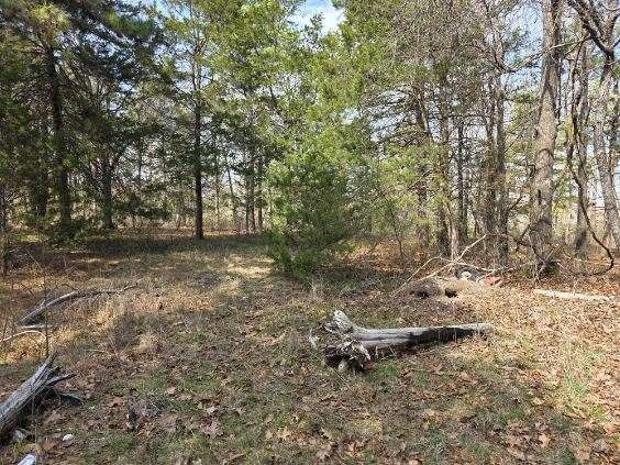 Scott Mountain Unit Ii - Land