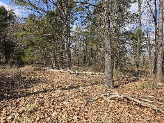 Scott Mountain Unit Ii - Land