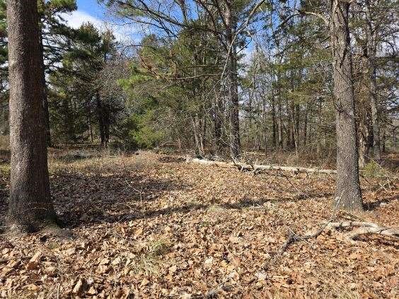 Scott Mountain Unit Ii - Land