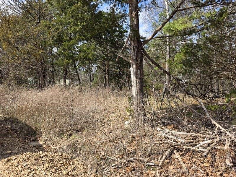 Scott Mountain Unit Ii - Land