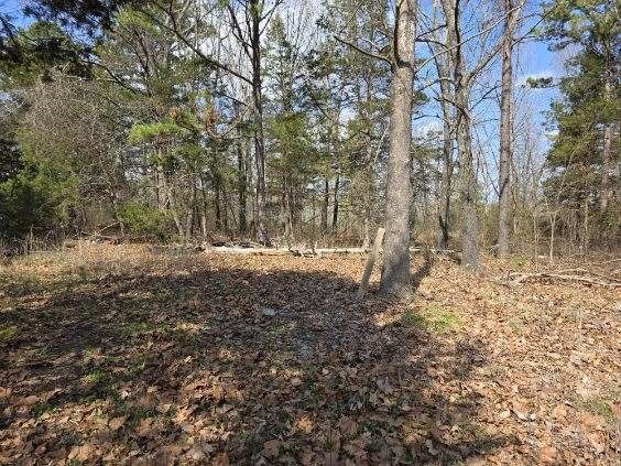 Scott Mountain Unit Ii - Land