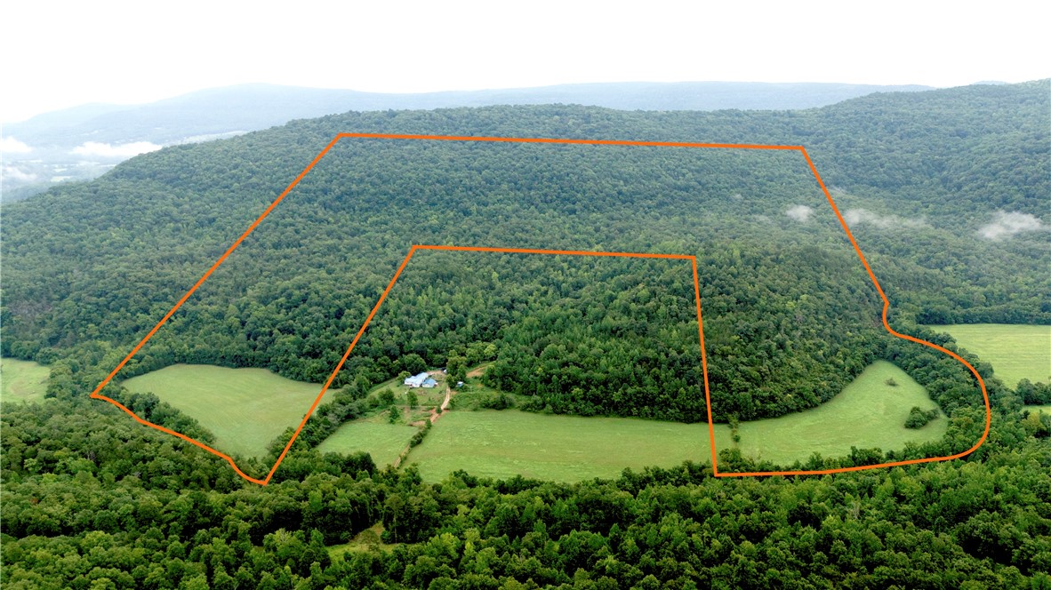 Just 20 minutes south of Jasper, youāll find this surveyed 153 +/- acre property thatās loaded with possibilities. If you have been dreaming of a peaceful rural homesite, a terrific hobby farm, or some prime hunting ground, this place has it all.
Wildlife is everywhere hereāwhitetail, turkey, hogs, and even the occasional black bear. About 12 +/- acres of open pasture are currently used for hay production, and theyād work great for a small grazing operation or for food plots to draw in even more game. The property is full of character, with existing trails, stunning bluffs, and beautiful rock outcroppings that give it that unmistakable Ozark charm.
Bordered on the East and South sides by the Ozark National Forest, youāve got thousands of acres to explore right out your back door. The Left Fork of Big Creek runs along the west side of the property and offers a great spot to cool off, look for arrowheads, or just relax.
At close to $3K an acre, this oneās a rare find.