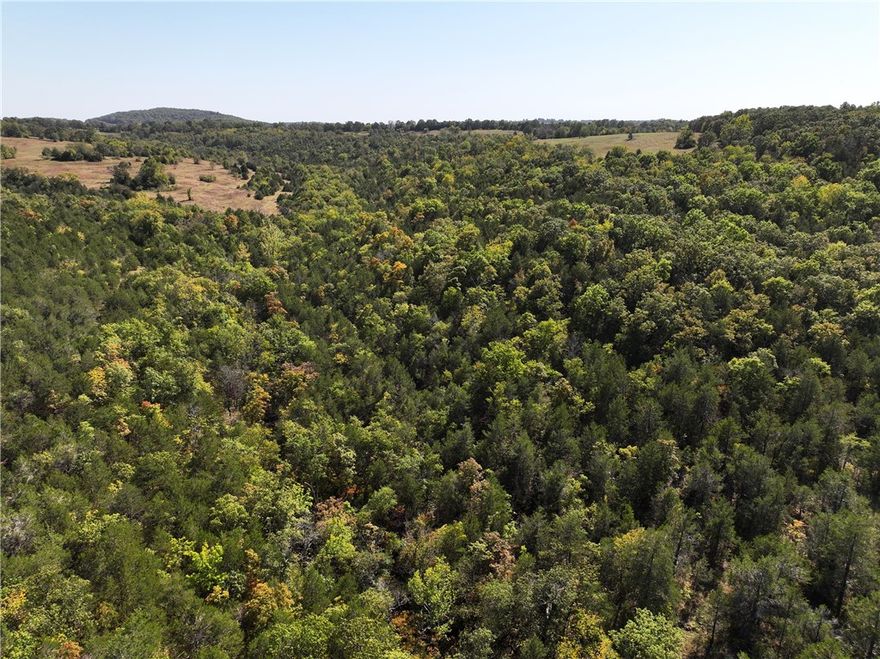 Secluded 40-acre tract located between Omaha and Lead Hill, Arkansas, offering prime wooded hunting land in the heart of Boone County. This property is heavily wooded with mature timber, abundant wildlife, and natural Ozark beauty, making it an ideal recreational getaway or private retreat. Its size and cover provide excellent hunting opportunities for deer, turkey, and small game, as well as potential cabin or campsite locations. Access is the current consideration—buyer will be responsible for obtaining an access easement through the county judge. With its seclusion, natural resources, and potential, this tract is a rare opportunity to own affordable acreage in a desirable part of the Ozarks.