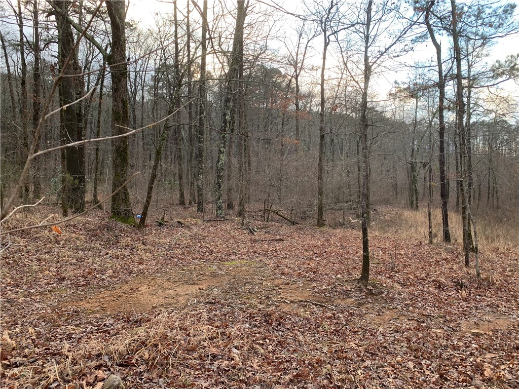 Here is your chance to build your mountain cabin or estate! 8 pristine acres of hardwoods and pines surrounded by National Forest but only 20 minutes from Mena, AR (pop 5,600) and a Walmart. Old well supposedly on site suggests water is available. Approximately 1/2 acre cleared previously. Some runoff from the north-facing hillside creates a small pool in the property. This is beautiful and untainted natural beauty in rural America.