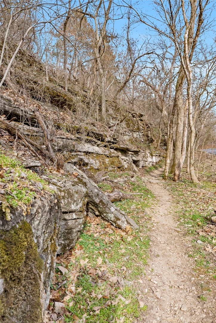 Lincoln Sub Bvv - Residential