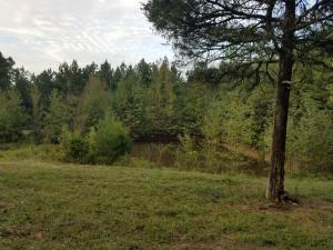 Great private site for the outdoors-man yet just minutes from town and schools. Secluded 3.22 acres, mostly wooded with both pine and hardwood. Pond with plenty of fish and wildlife, a pad was cleared to build a home or cabin with view a few years ago. Public water and electric access available at Hwy. Access road crosses sellers property and will need easement.