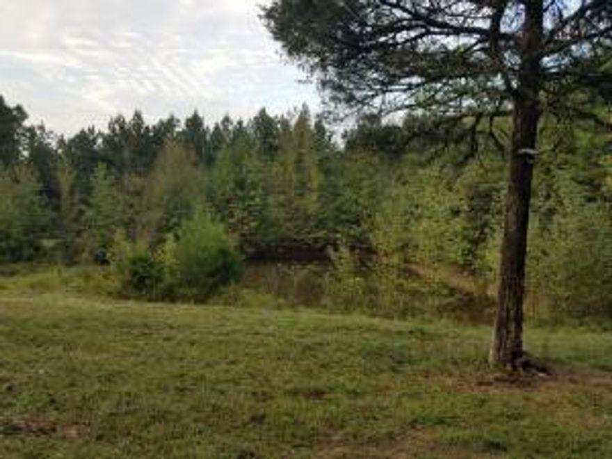 Great private site for the outdoors-man yet just minutes from town and schools. Secluded 3.22 acres, mostly wooded with both pine and hardwood. Pond with plenty of fish and wildlife, a pad was cleared to build a home or cabin with view a few years ago. Public water and electric access available at Hwy. Access road crosses sellers property and will need easement.