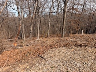 Essex Sub Bvv - Land