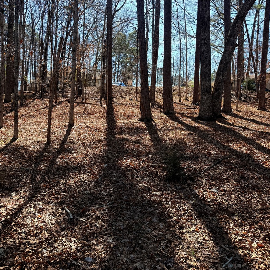 Buckingham Sub Bvv - Land