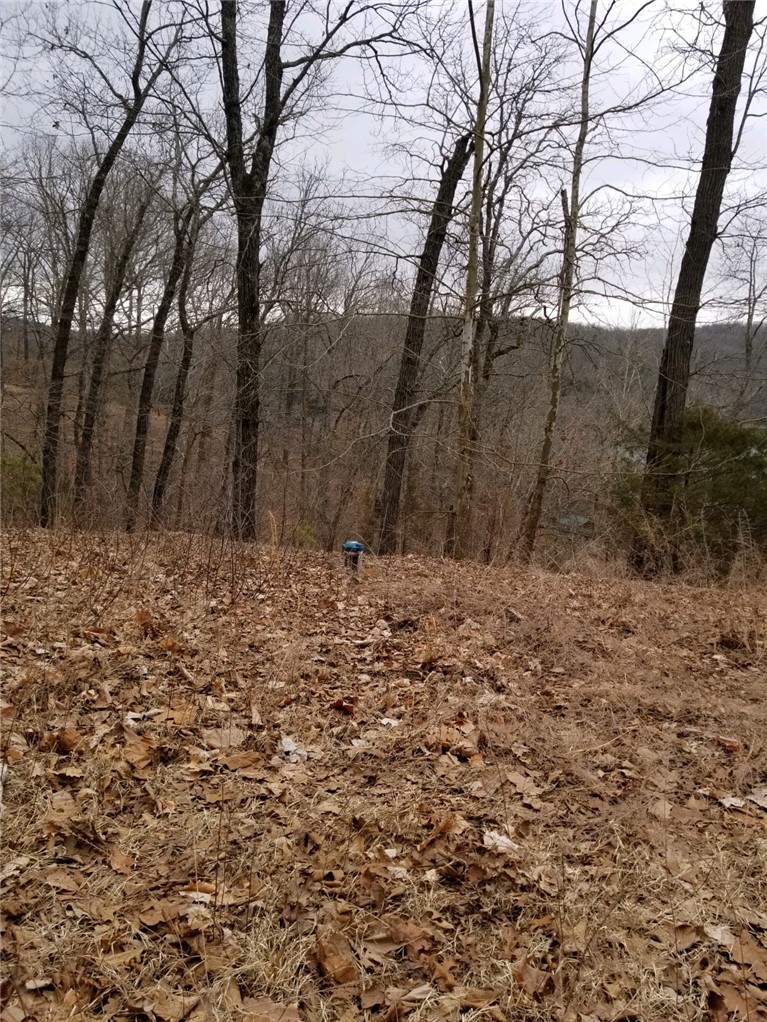 Shorecliff Estate #1 - Residential