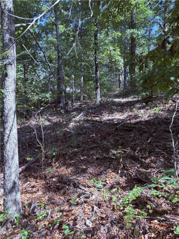 This .31-acre property backs up to Tunnel Vision bike trails, perfect for outdoor enthusiasts. This lot is located on a cul-de-sac in a quiet subdivision. Located minutes from the Missouri state line, while still enjoying all amenities Bella Vista has to offer-- public parks, golf courses, swimming pools, lakes, and trails. Check out this lot today!