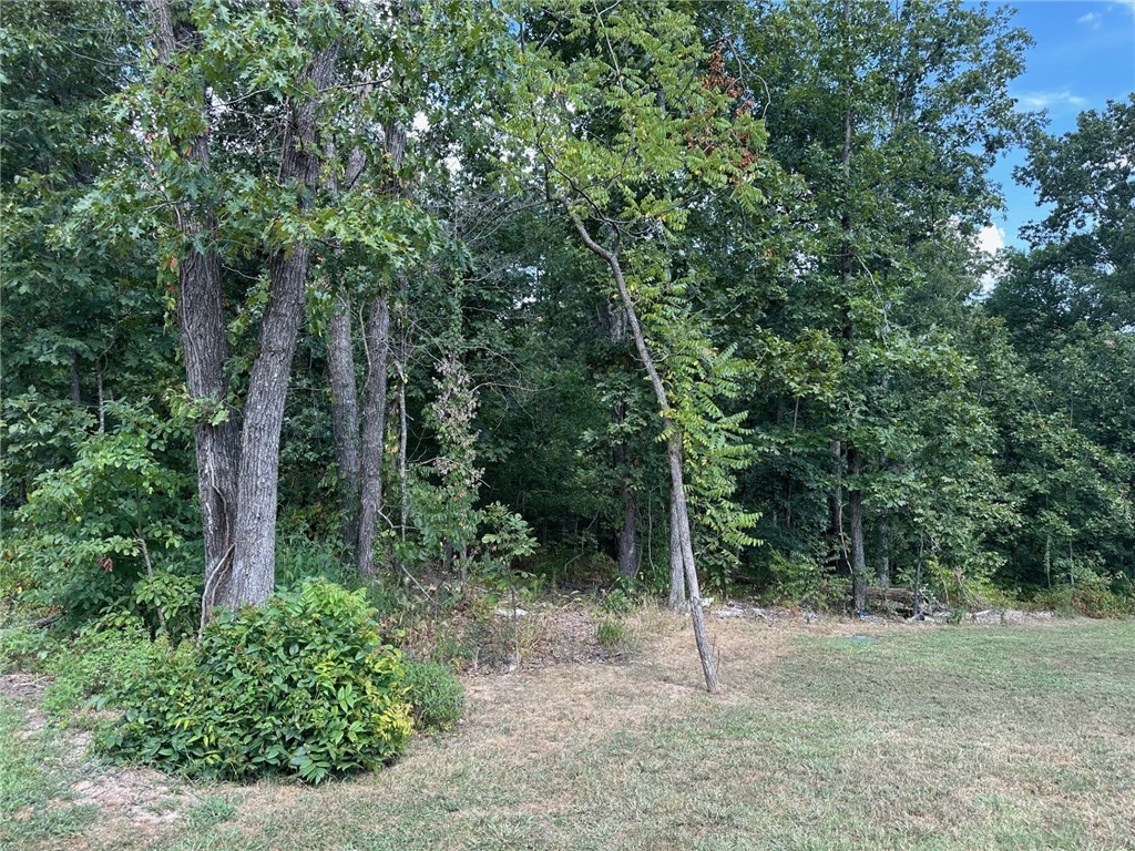 Scenic Bella Vista Lot Near Tunnel Vision Trail & Lake Windsor – Enjoy All Community Amenities! Build your dream home in beautiful Bella Vista, Arkansas, just steps from the scenic Tunnel Vision Trail and minutes from sparkling Lake Windsor. This prime lot offers convenient access to some of the area's best outdoor recreation, while also providing the privacy and tranquility of the Ozarks. As a Bella Vista property owner, you’ll enjoy access to a full suite of amenities, including: Multiple golf courses. Lakes for boating, fishing, and swimming. Private pools and recreation centers. Extensive trail systems for hiking and mountain biking. Tennis courts. The Bella Vista Country Club and social venues. Whether you're looking to build a vacation retreat, a forever home, or an investment property, this lot is ideally situated for both adventure and relaxation. Don’t miss the opportunity to own a piece of Bella Vista’s natural beauty with all the modern conveniences of a planned community.