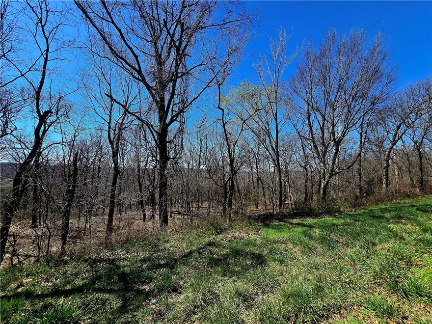 1 acre +/- of unrestricted land on Hale Mountain in Canehill. Property has access off the main road. Electric & water at street. Perc test needed. Property has a couple of good areas that could be used for a small home site. Great views when the leaves are gone. Rural but not too far. Come check it out! Could be used for small scale hunting as well. Agent owned.