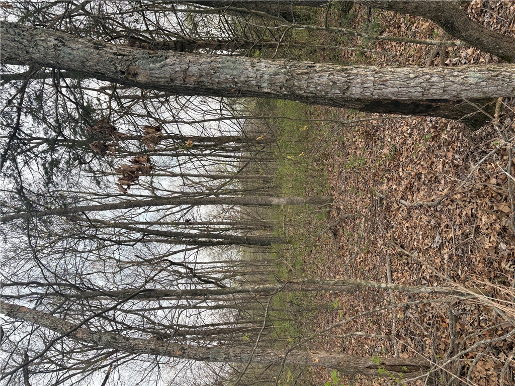 Posy Mountain Ranch Unit 7 Rurban - Land