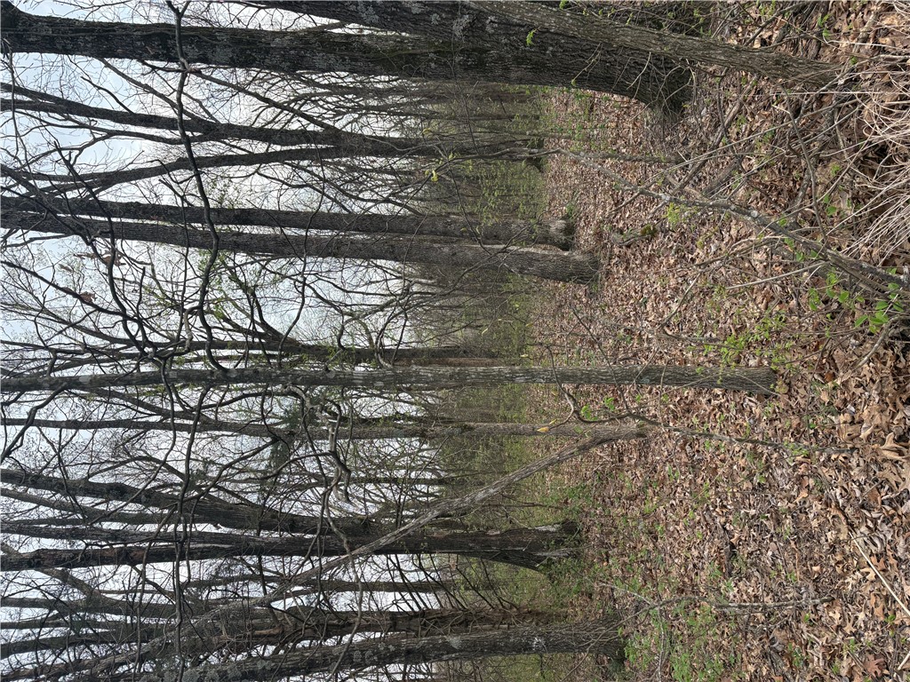 Posy Mountain Ranch Unit 7 Rurban - Land