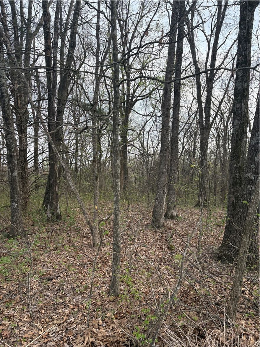 Find these two contiguous lots in Posy Mountain Ranch for a total of 1.13 acres.  Wooded and ready for investment or development and reasonably priced so come build your dream home in the woods today!