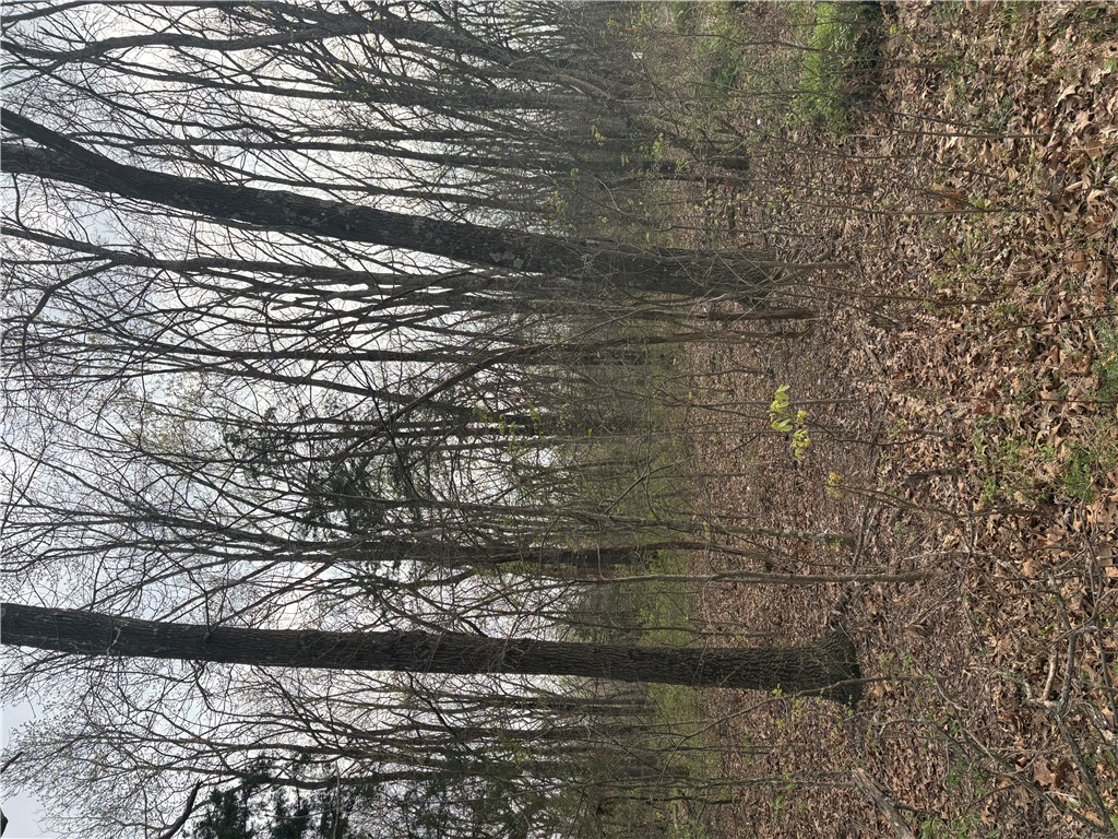 Posy Mountain Ranch Unit 7 Rurban - Land