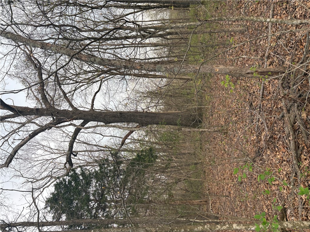 Posy Mountain Ranch Unit 7 Rurban - Land