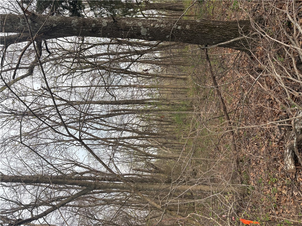 Posy Mountain Ranch Unit 7 Rurban - Land