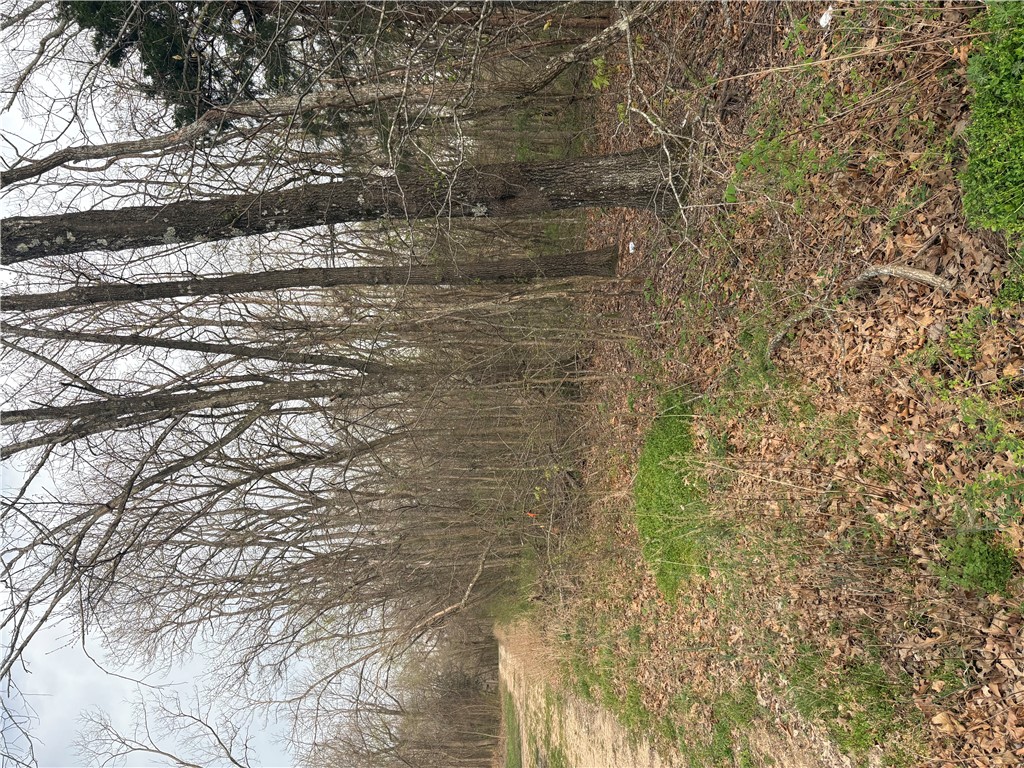 Posy Mountain Ranch Unit 7 Rurban - Land