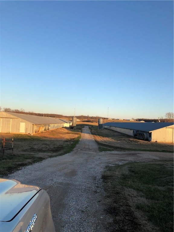 CHICKEN DREAMS - Farm