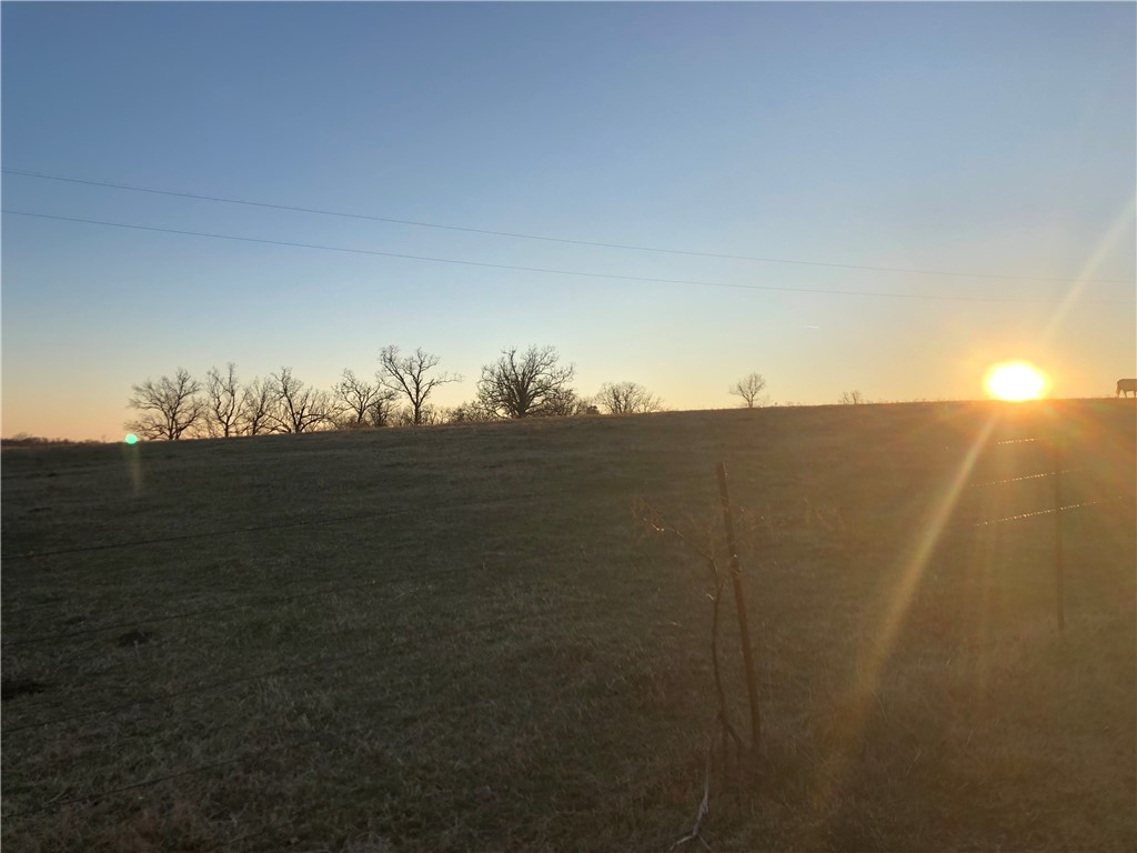 CHICKEN DREAMS - Farm