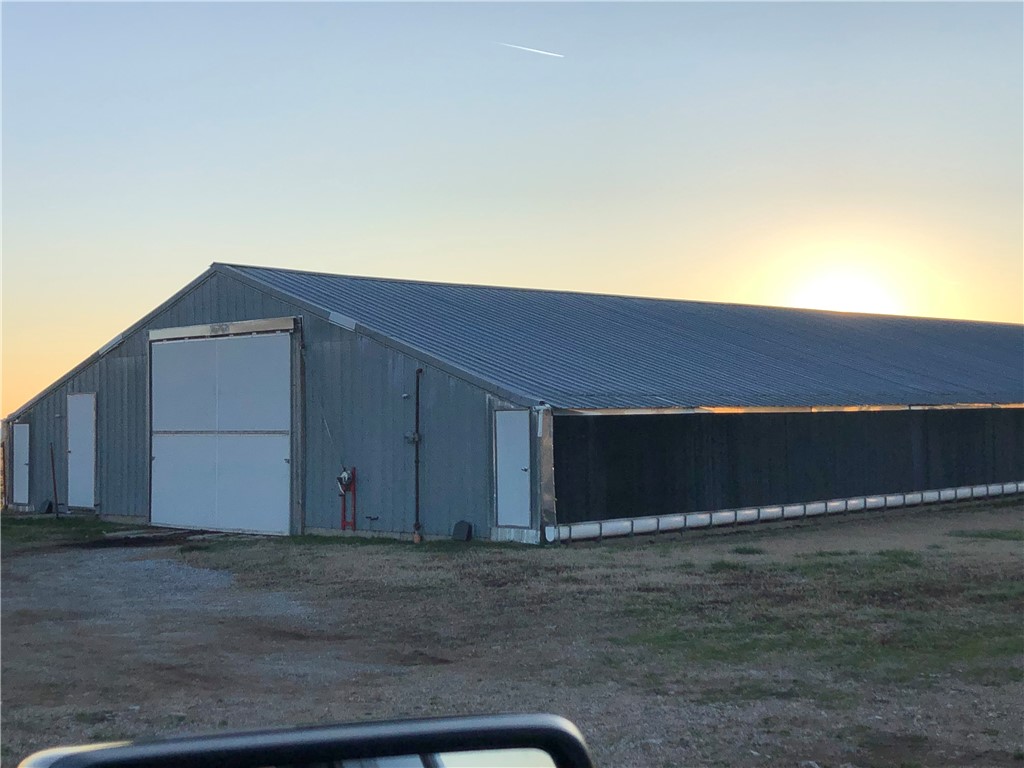 CHICKEN DREAMS - Farm