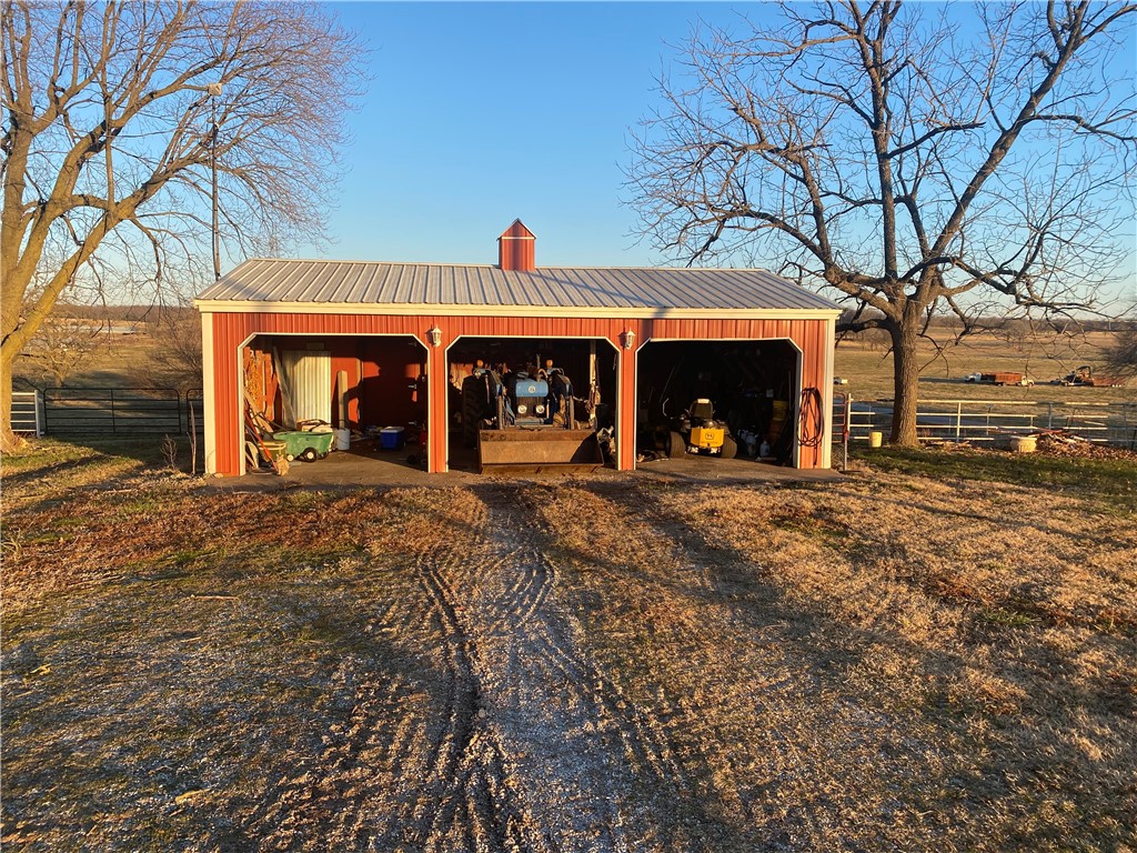 CHICKEN DREAMS - Farm