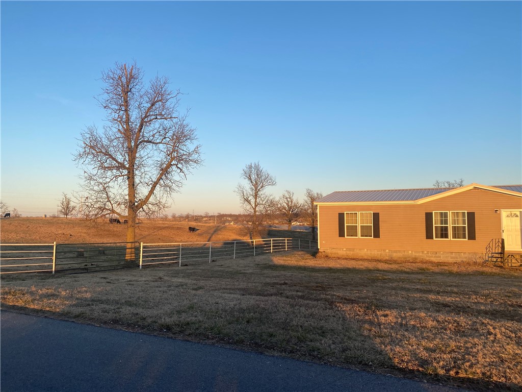 CHICKEN DREAMS - Farm