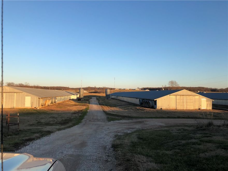 ***DO NOT ENTER BIO SECURITY IN PLACE *** Amazing beautiful farm overlooking Gentry on a hillside, great opportunity to have a starter farm with poultry and cattle. This is a very well maintained poultry farm (4-40x400's) seller is not sure the built date (assumed early/mid 90's), a Tyson-Noel contract in place. Gross is between $150-180k annually. This property is a Natural Gas, 2 compost sheds, incinerators, 2 wells and city back up. If you want to raise chickens it is definitely a great option. Bring your down and invest in yourself! ** Showings are appointment only ** New Holland tractor will convey (the one located at the farm).