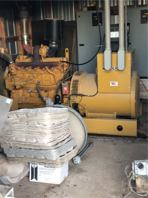 CHICKEN DREAMS - Farm