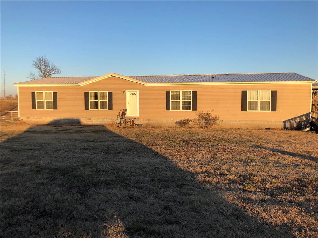 CHICKEN DREAMS - Farm