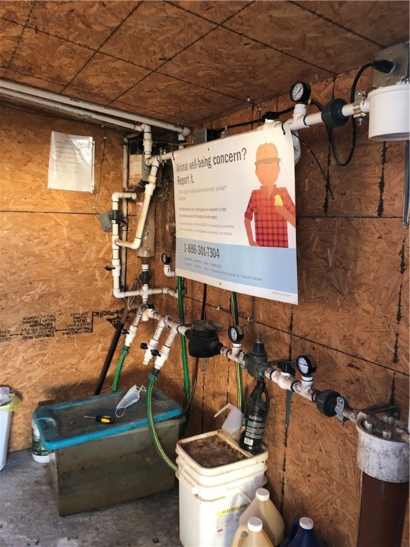 CHICKEN DREAMS - Farm