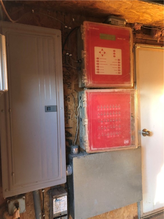 CHICKEN DREAMS - Farm