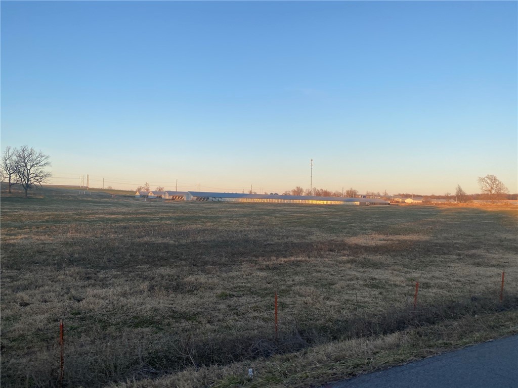 CHICKEN DREAMS - Farm