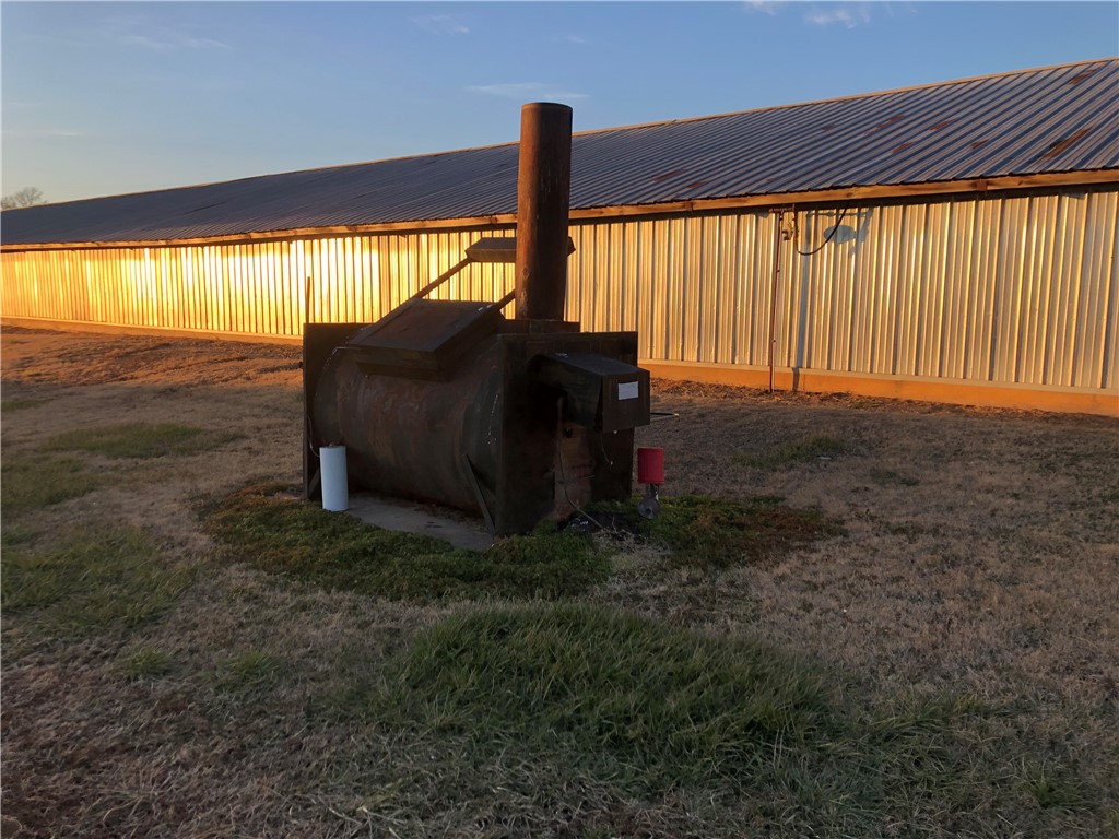 CHICKEN DREAMS - Farm